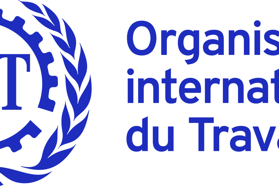 OIT Tunisie - Appel à Candidatures Pour La Formation Des Formateurs ...